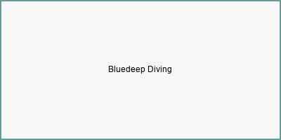 Bluedeep Diving 